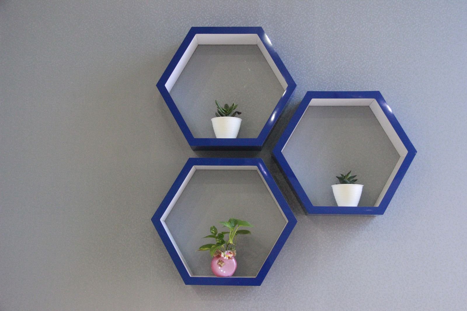 Three hexagonal floating shelves in navy blue frames styled with small potted plants