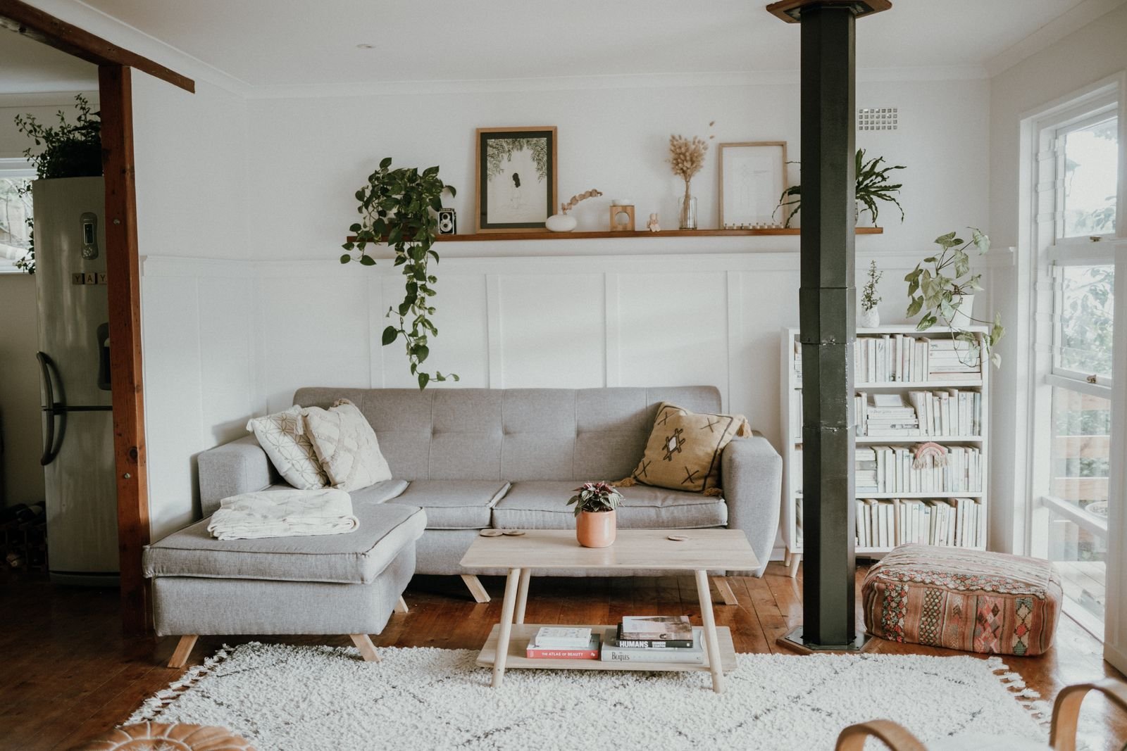 Bright neutral living room with a gray sofa, open bookshelf and trailing houseplants