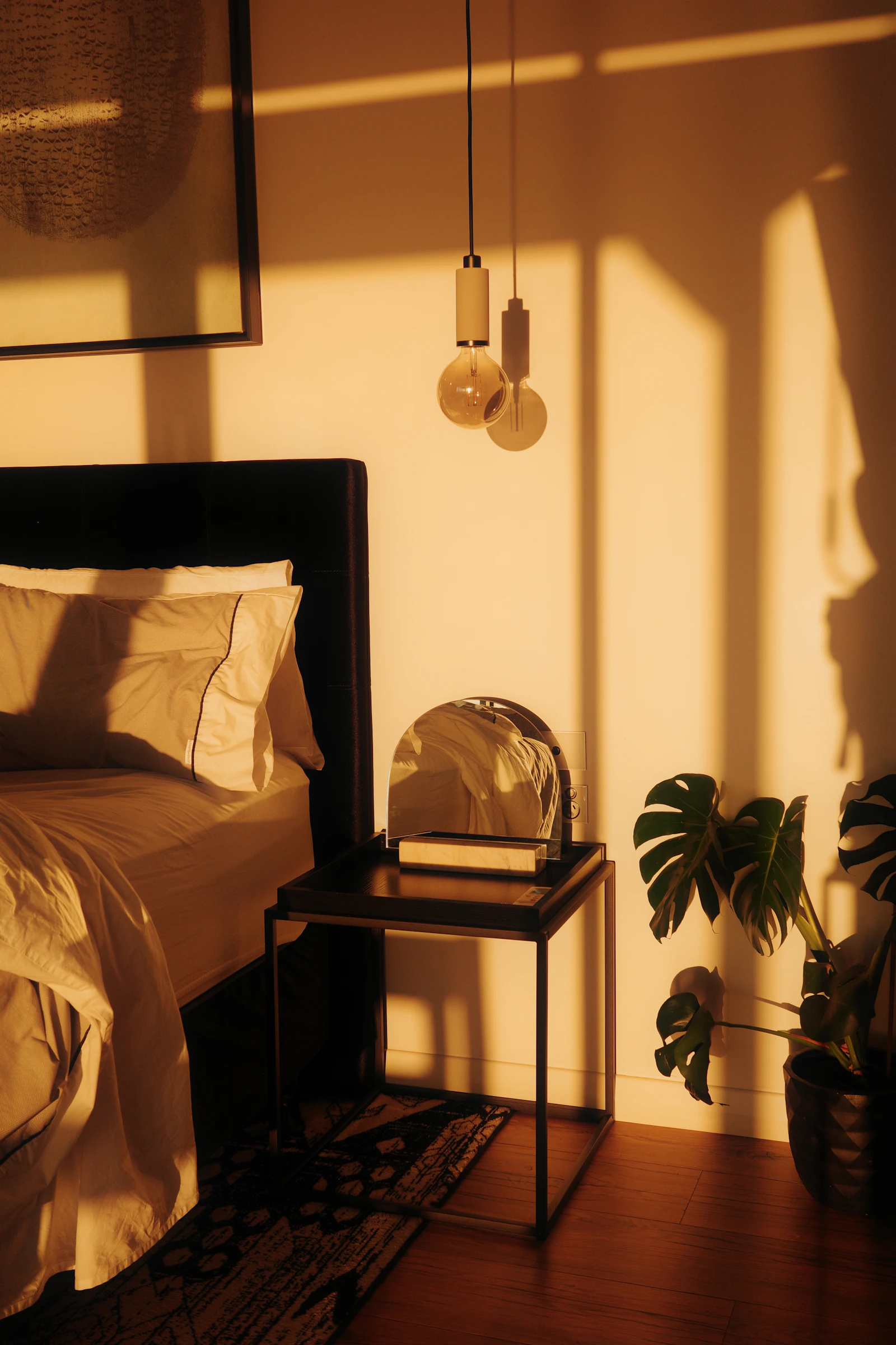 Warm sunset-lit bedroom with a dark upholstered headboard, nightstand and a large monstera plant